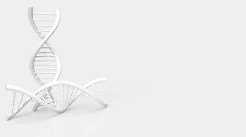 White dna on white background for science or medical  concept 3d rendering Stock Photos