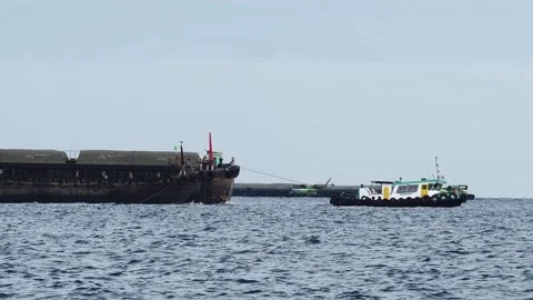 White dock cranes operating at sea port with cargo ships Video stock 317883022