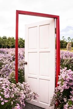White door Stock Photos