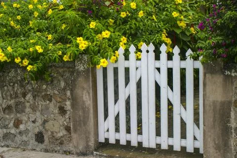 White door Stock Photos