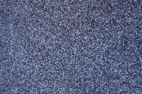 White dots on black. Stock Photos