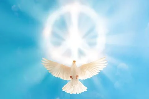 White dove flying to cloud in pacification sign shape for freedom concept a.. Stock Photos