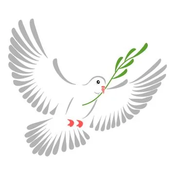 White dove Stock Illustration