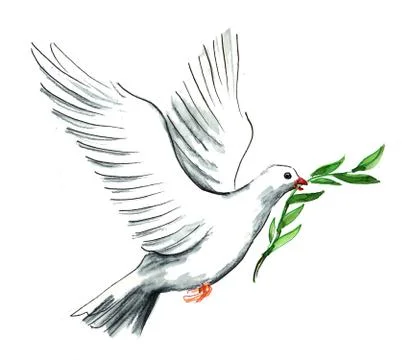 White dove Stock Illustration