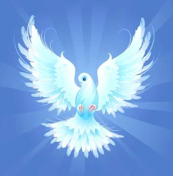 White Dove Stock Illustration