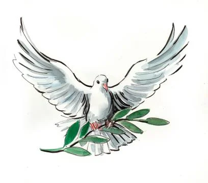 White dove Stock-Illustration