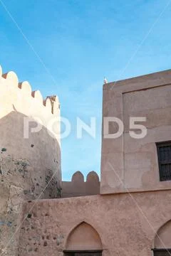 A white dove sitting on the fortification of the Fujairah Fort, UAE Stock Photos