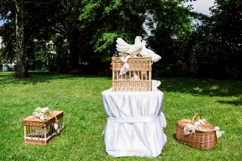 White doves on and in wicker baskets in park Stock Photos