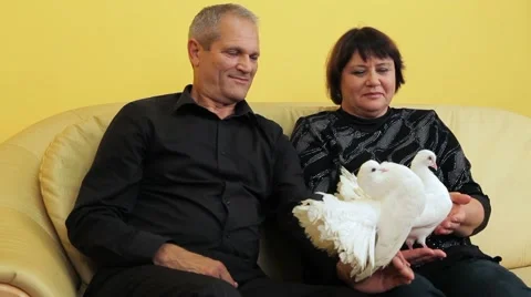 White Doves At An Elderly Couple Stock-Footage 52750529