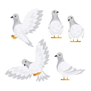 White doves flapping wings and standing still in different positions Illustrazione stock