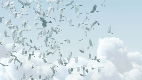 White Doves Flying Across Soft Pastel Sky Background Vídeos de archivo 335426642