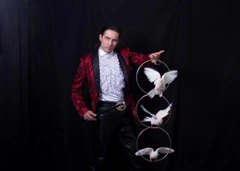 White doves inside the hoops on the hands of a magician Stock Photos