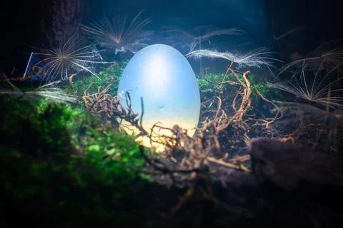 White dragon egg in the mist Stock Photos