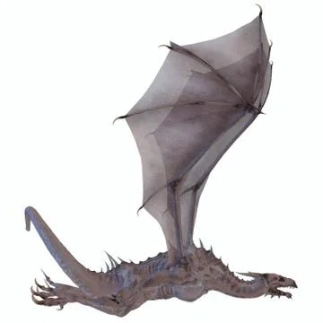 White dragon Stock Illustration