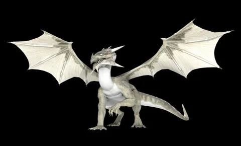 White Dragon 스톡 일러스트