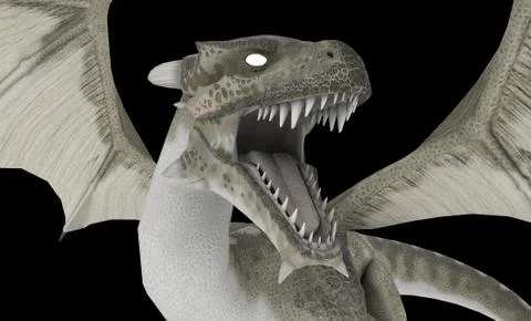 White Dragon Stock Illustration