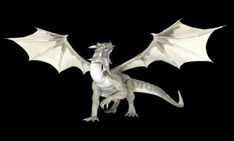 White Dragon Stock Illustration