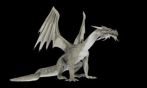 White Dragon Stock-Illustration