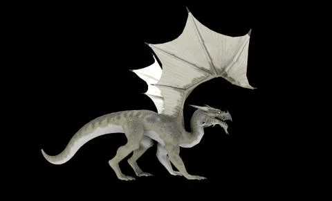 White Dragon Stock-Illustration