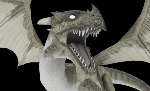 White Dragon Stock Illustration