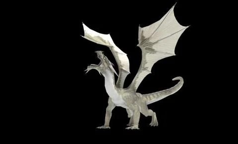White Dragon Illustrazione stock