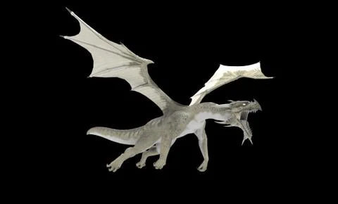White Dragon Illustrazione stock