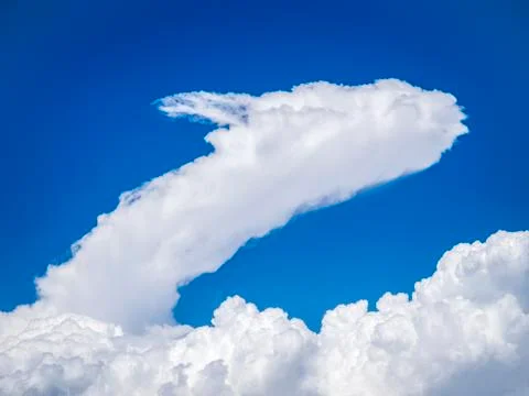 White dragon Stock Photos