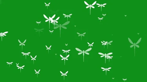 White dragonflies motion graphics with green screen background Video stock 329986124