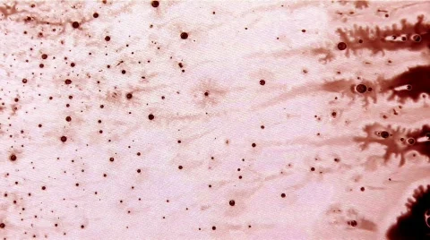 White Draw Out Video stock 104922