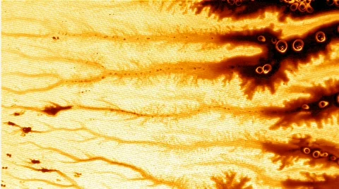 White Draw Out 库存影片 104940