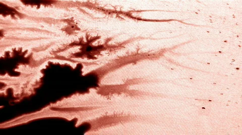 White Draw Out Video stock 104942