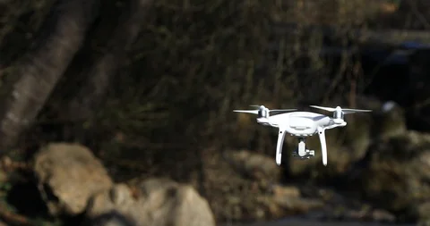 White drone flying over the river in forest Stock Footage 102155830
