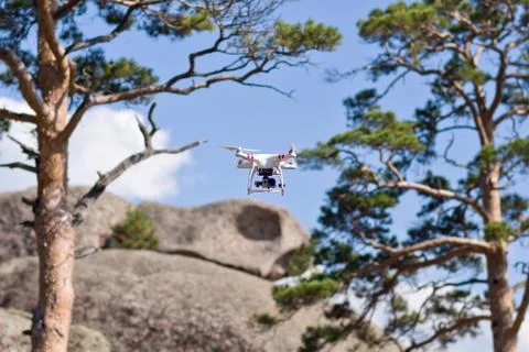 White drone flying on trees background Stock Photos