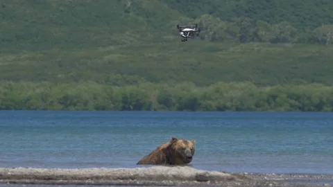 White drone Video stock 77665657