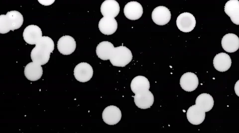 White Drops Stock Footage 42208257