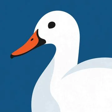 White duck close up portrait. Vector illustration Stock Illustration