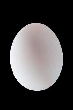White duck egg with clipping path and black background Stock Photos