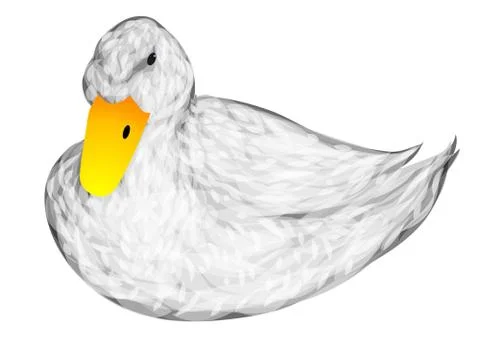 White duck Stock Illustration