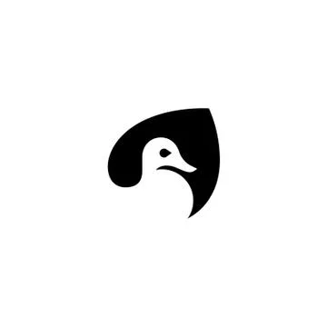 White duck Stock Illustration