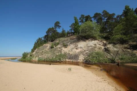 The White Dune. Stock Photos