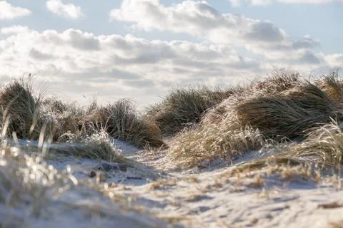 White dunes 스톡 사진