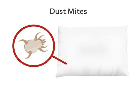 White dust mite on pillow vector illustration. Microscopic dangerous insect Stock Illustration