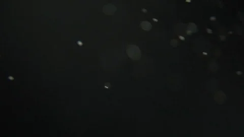 White Dust Particles Flying On Black Background. Slow motion. Stock Footage 74674102
