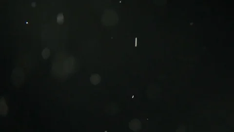 White Dust Particles Flying On Black Background. Slow motion. Stock Footage 74674438