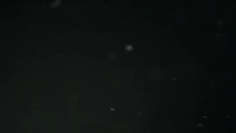 White Dust Particles Flying On Black Background. Slow motion. Видео 74675299