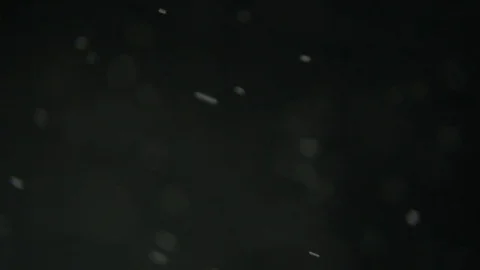 White Dust Particles Flying On Black Background. Slow motion. Stock Footage 74675483