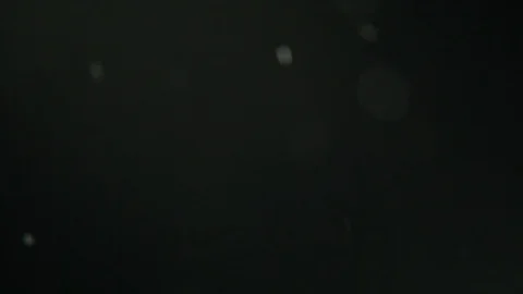 White Dust Particles Flying On Black Background. Slow motion. Stock Footage 74677181