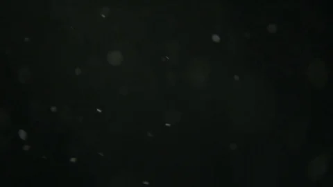 White Dust Particles Flying On Black Background. Slow motion. Stock Footage 74678142