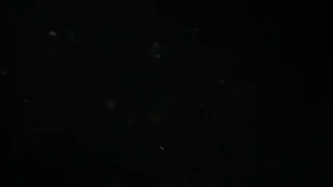 White Dust Particles Flying On Black Background. Slow motion. Stock Footage 74686102