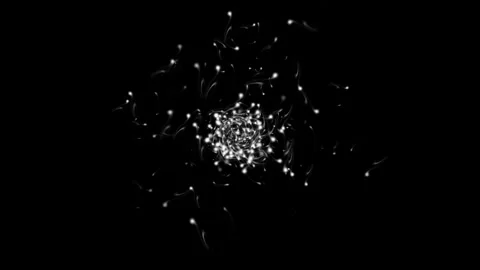 White dust particles motion graphics with black background Stock Footage 254567747